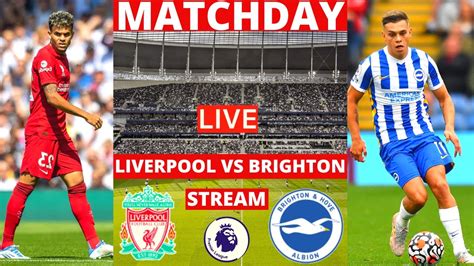 amydz88 football live match youtube|Liverpool FC .